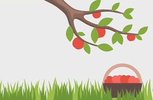 Яблоня и корзина яблок — векторная картинка
